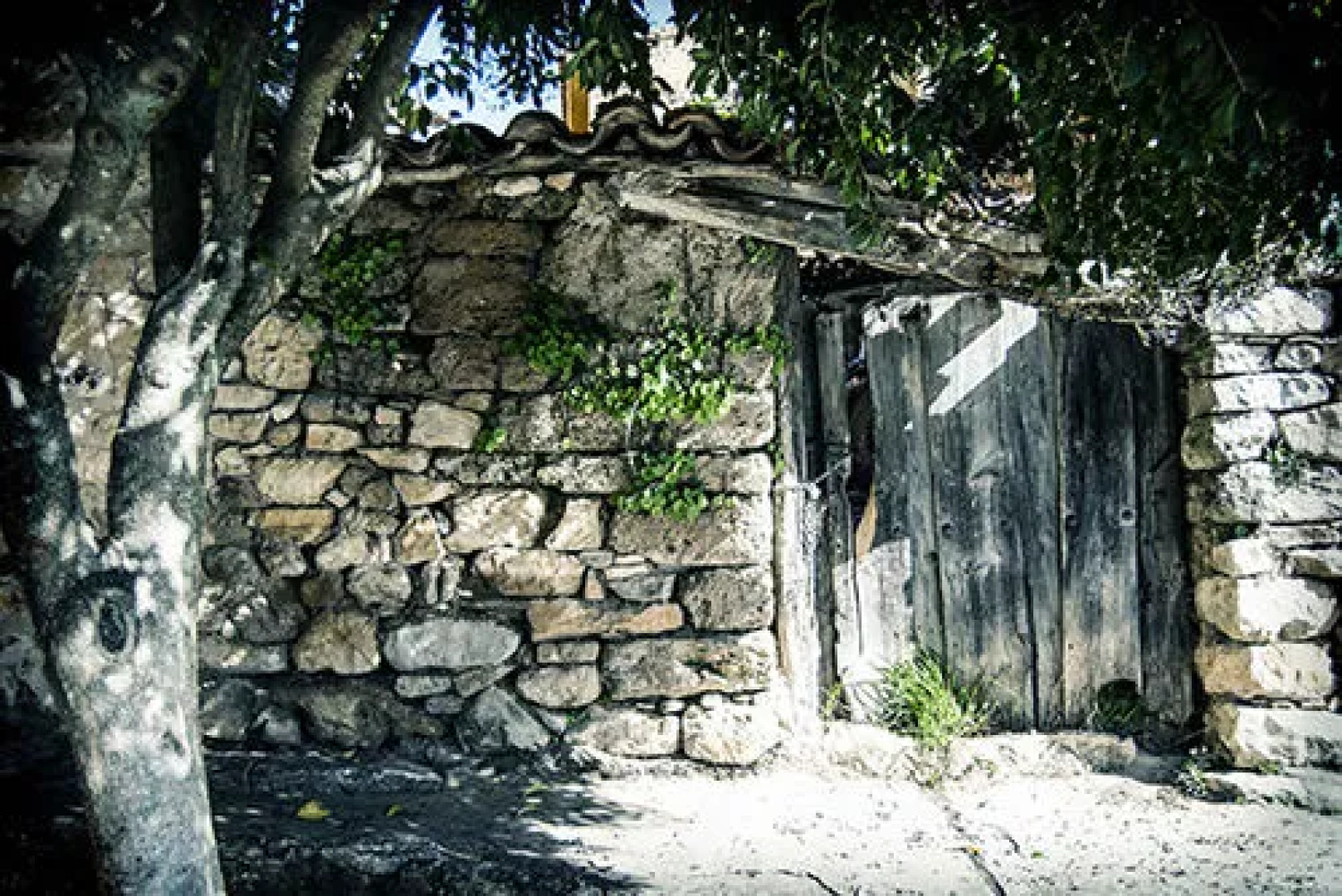 El Rincón de Monasterio