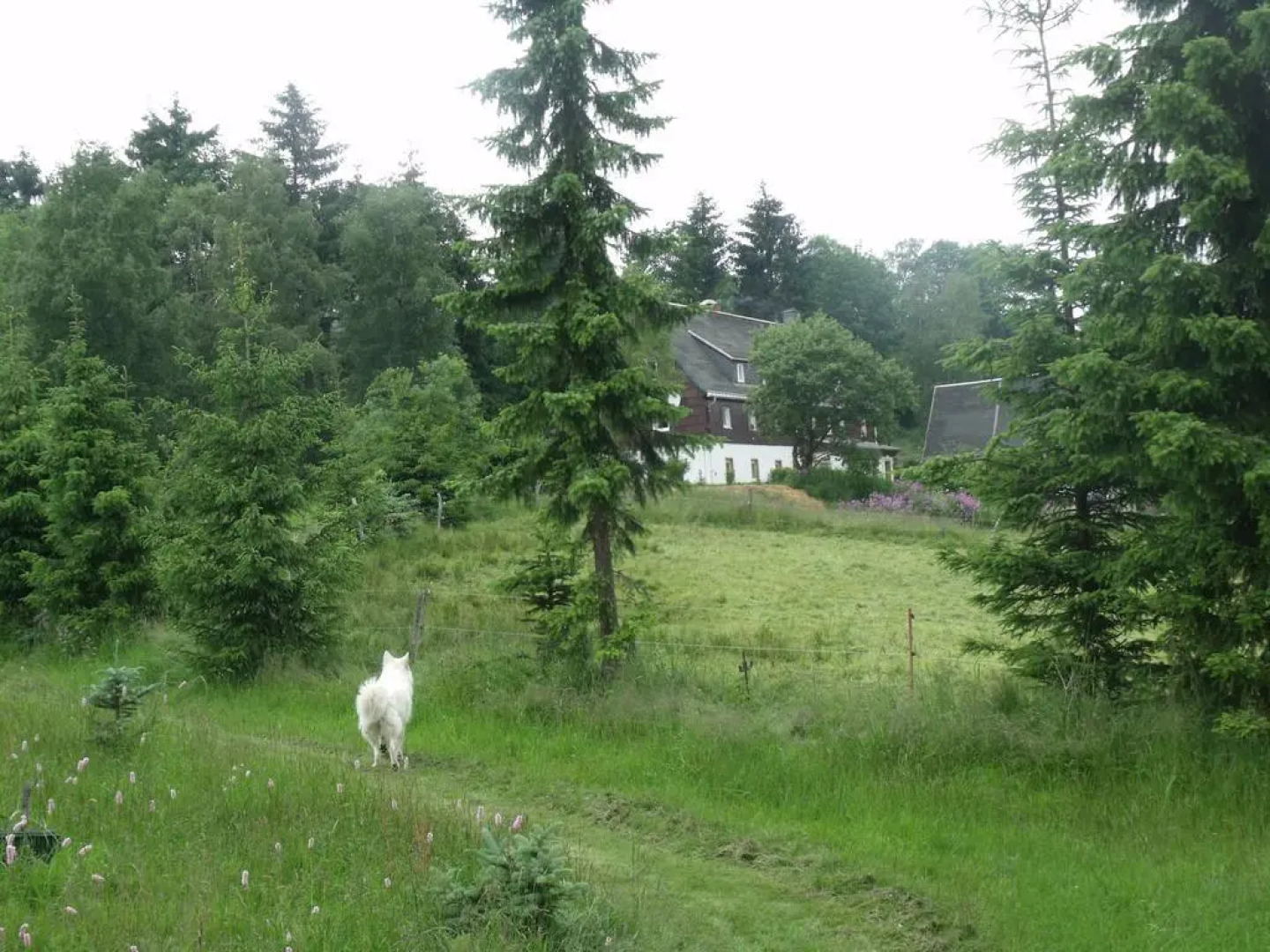 Pension Haus Pentacon