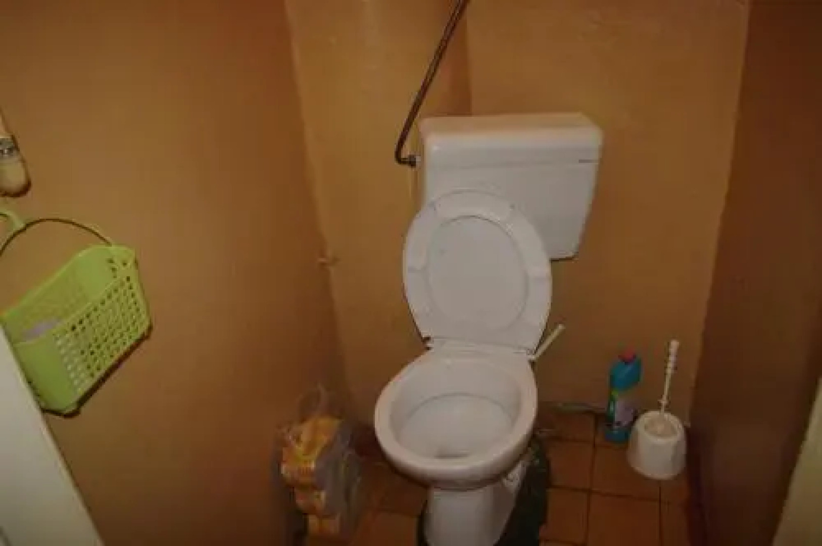 Cat's house Хостел