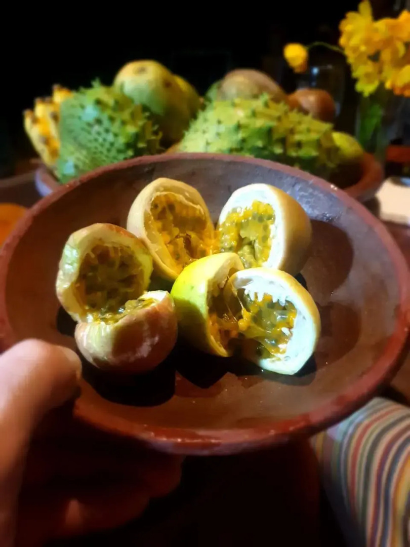 Gallene Gala Nature Resort