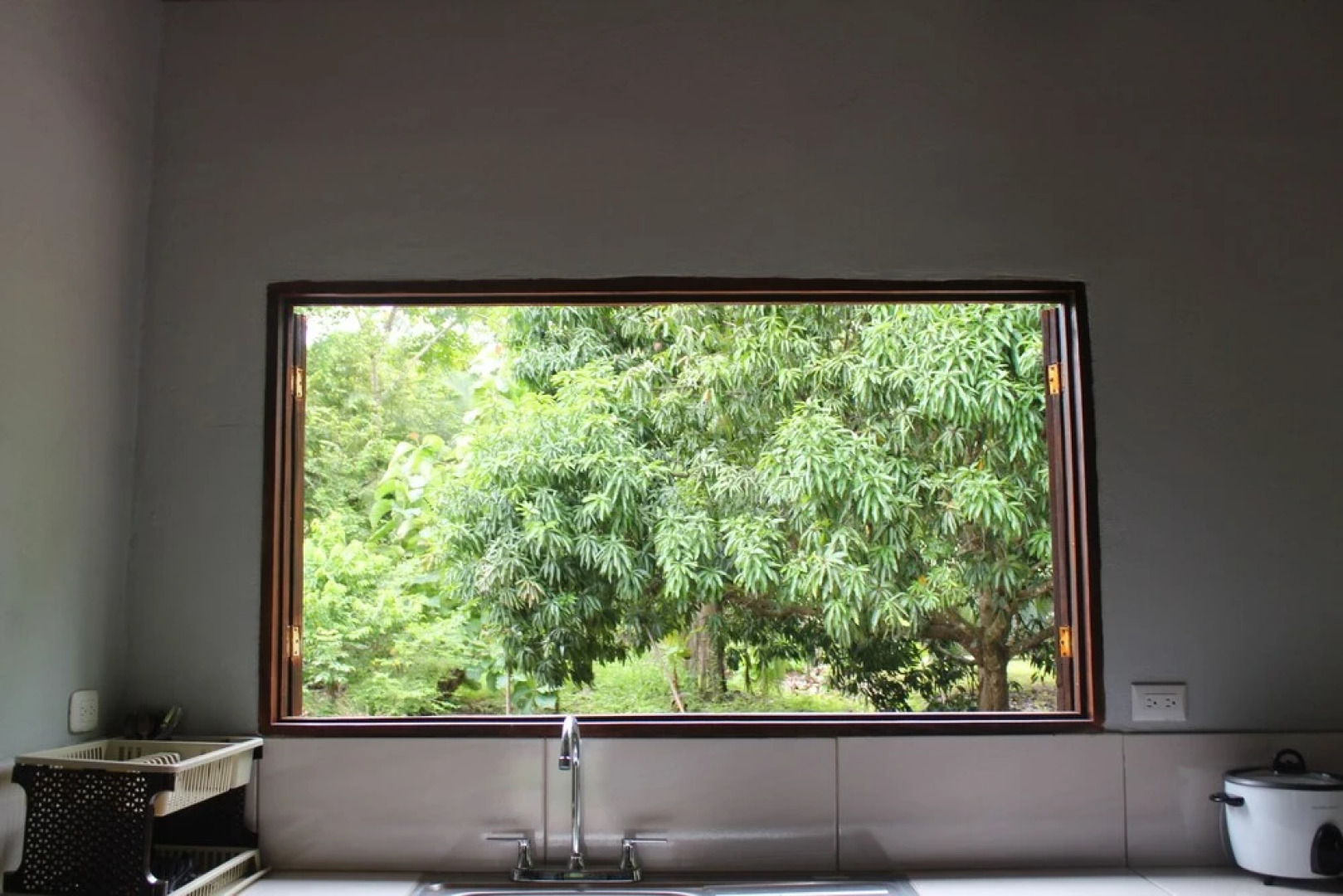 Beautiful Rustic Tree Spirit House in Cabuya