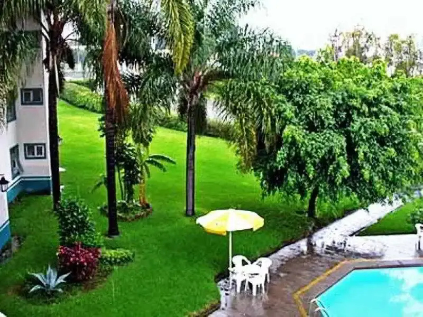 Vista Junior Guadalajara