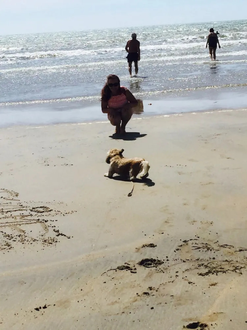 Camping Le Sous Bois