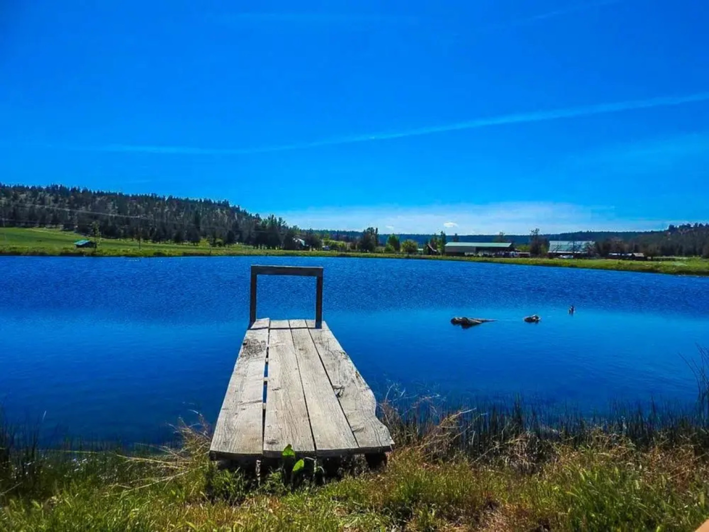 Long Hollow Guest Ranch