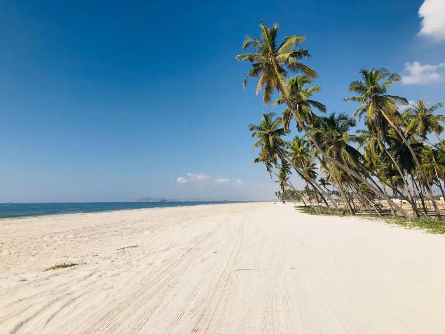 NEW 1-Bedroom in Forest Island + Oceanside View