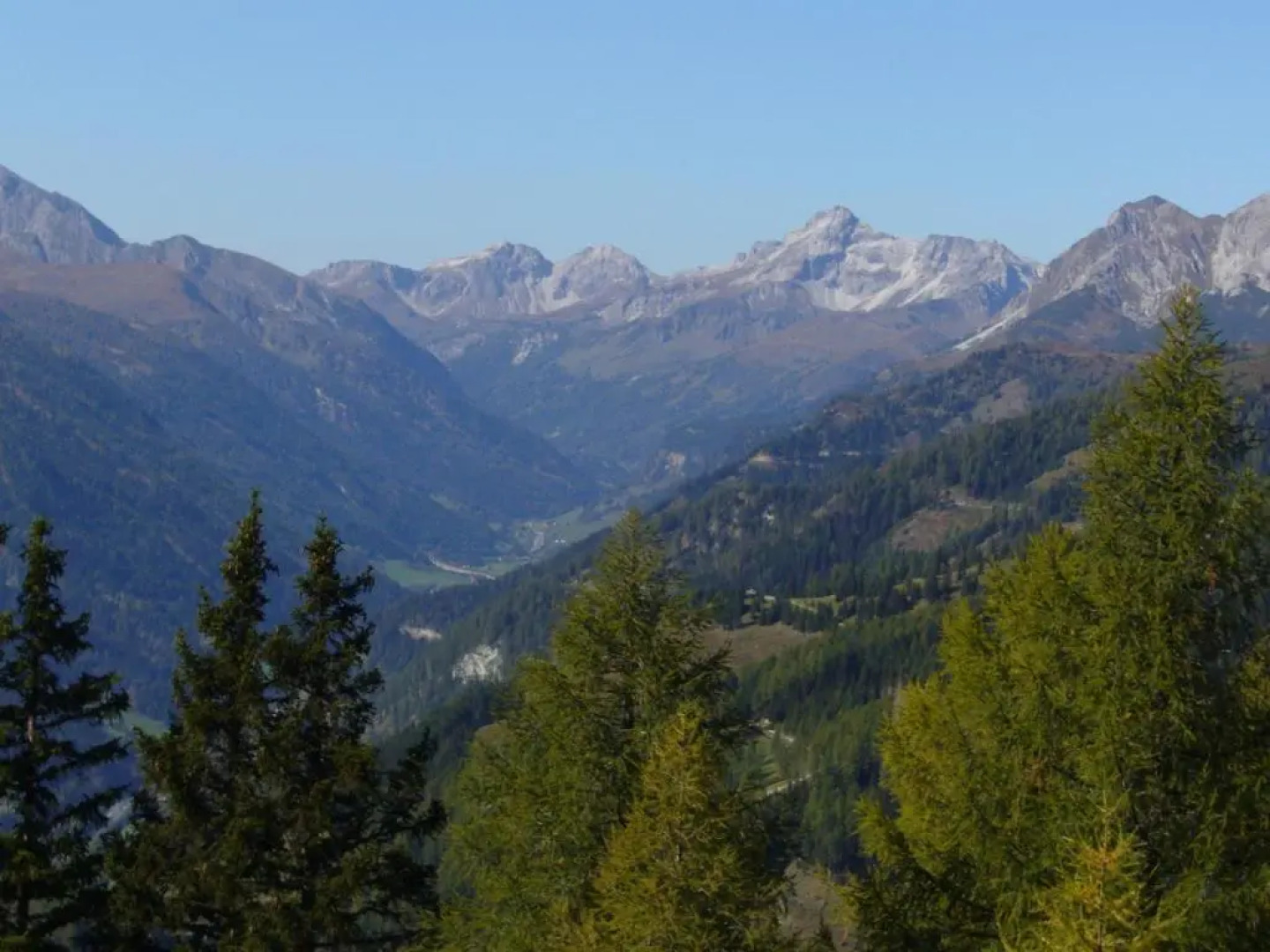 Appartement Haus Moser