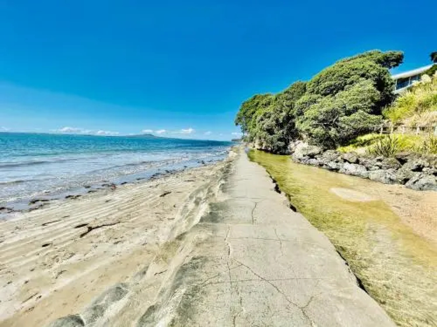 Whitby Studio - Mairangi Bay Beach