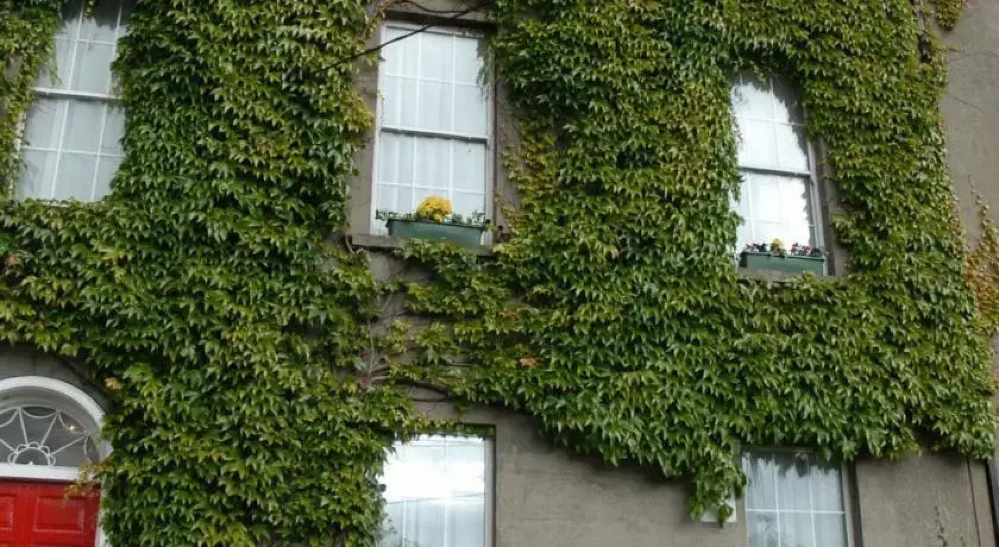 Brighton House Guesthouse (Ireland)
