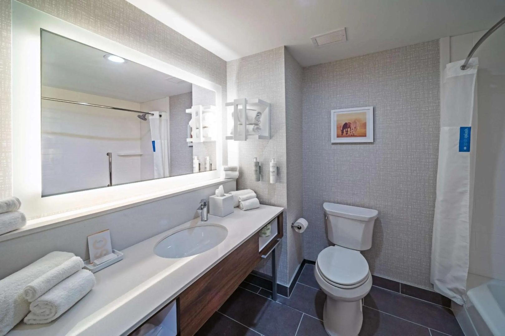 Hampton Inn & Suites Canyon