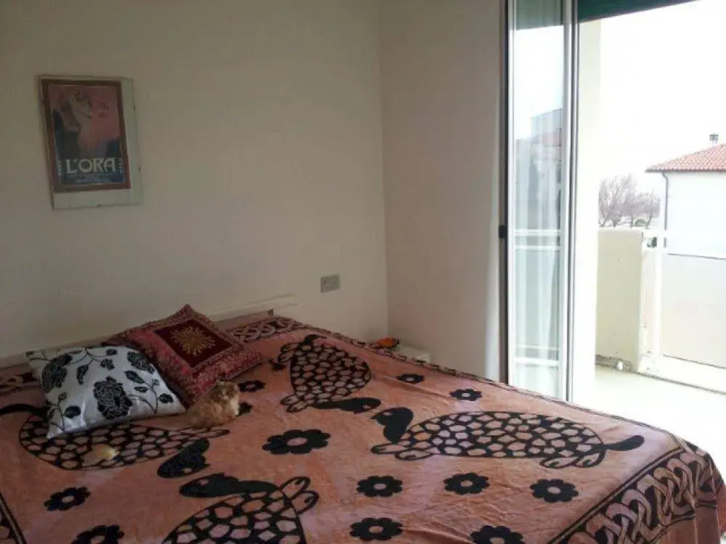 Pet Family Camping Cortina