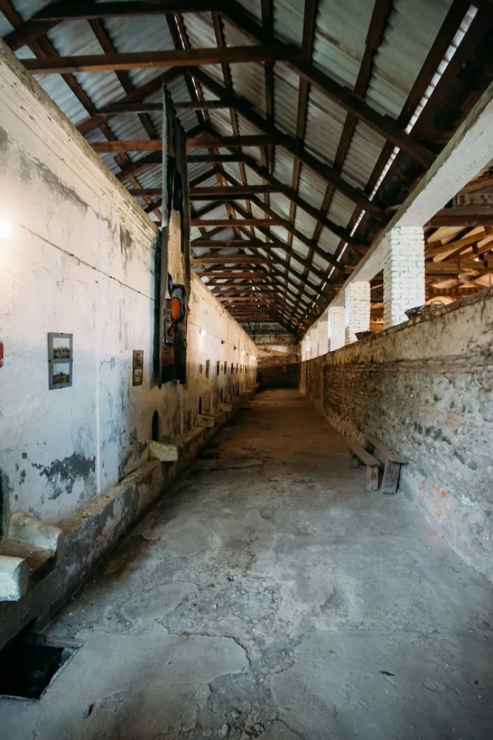 Отель Chateau Eniseli