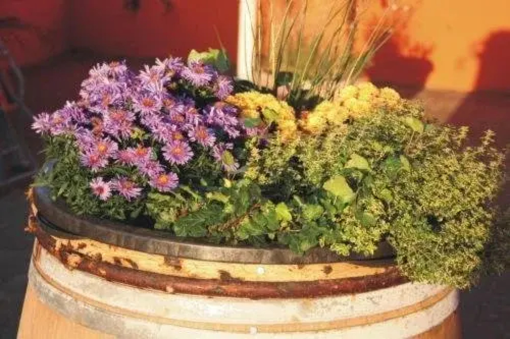 Schnitzelschmiede & Pension Bäumchen