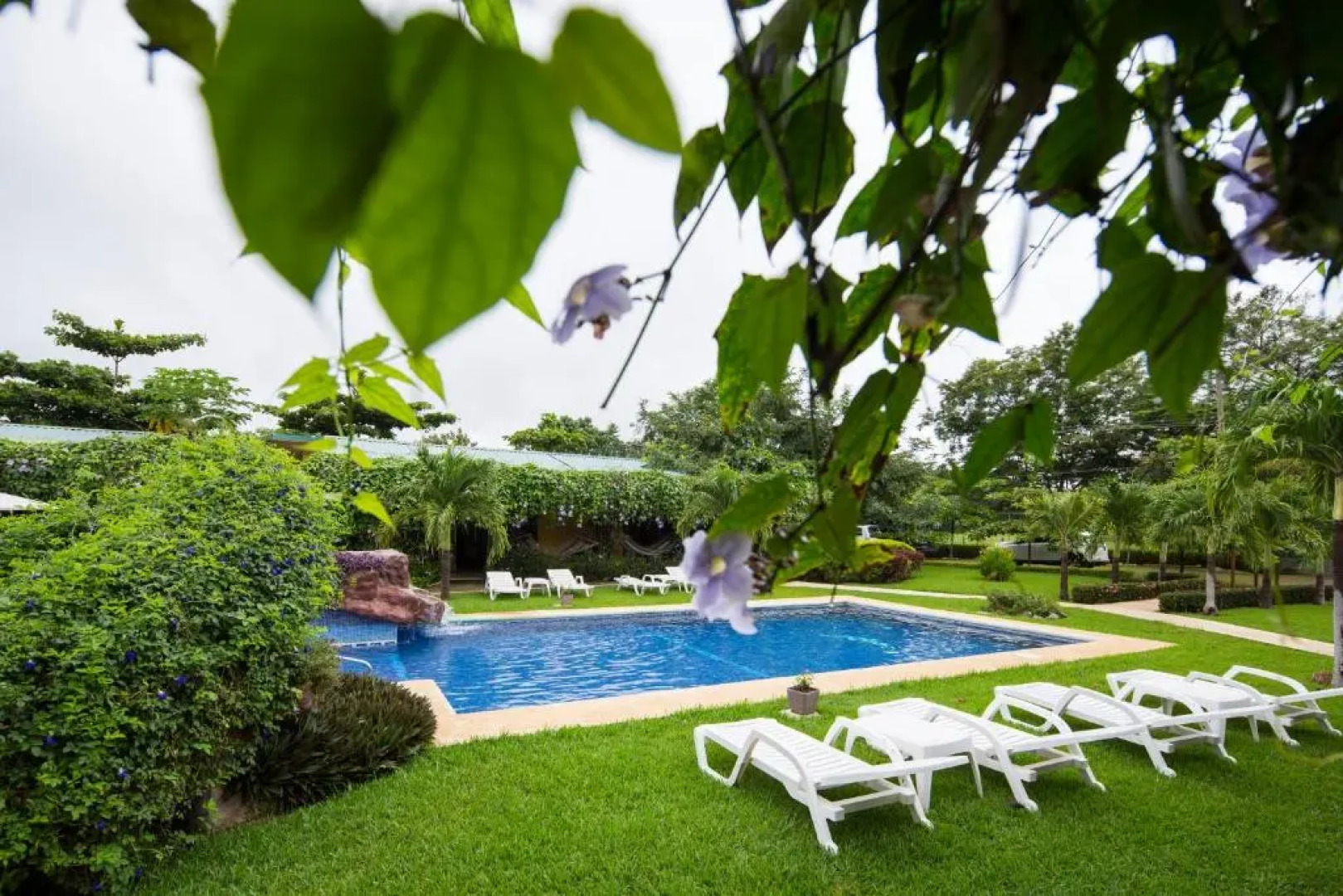 Apartments Playa Potrero