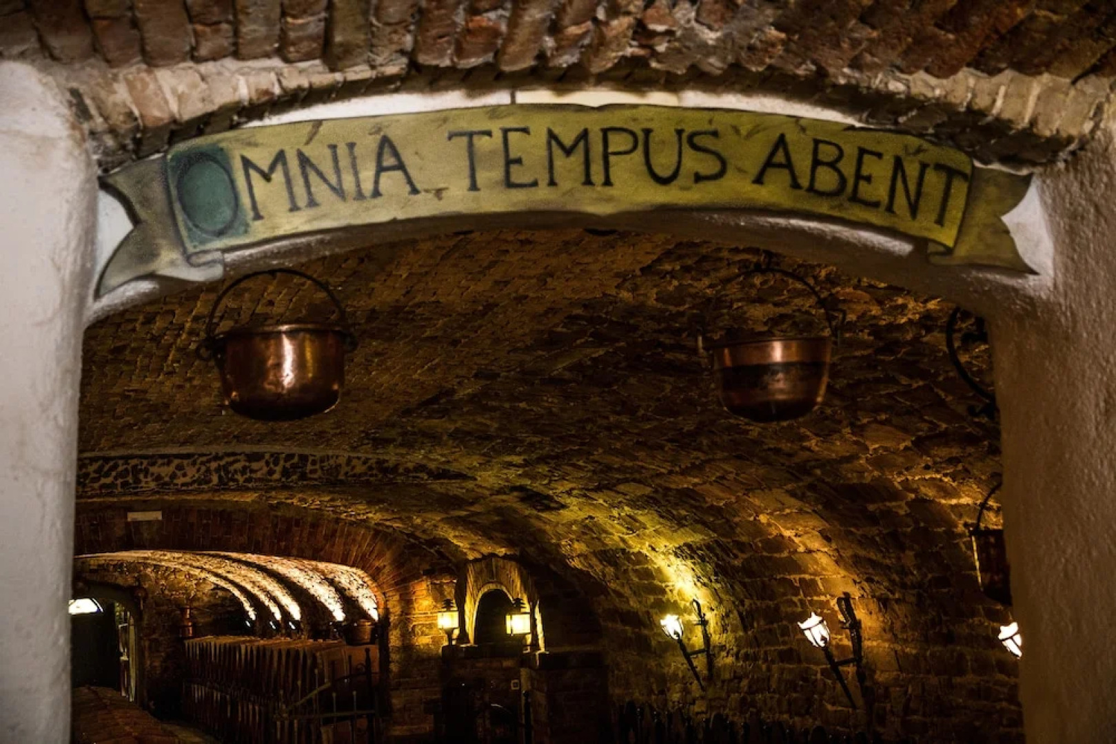 Appartamenti nelle Vigne