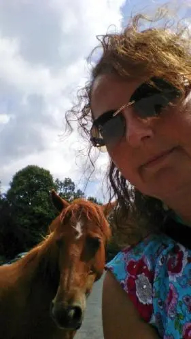 Acorns Of Lyndhurst B&B