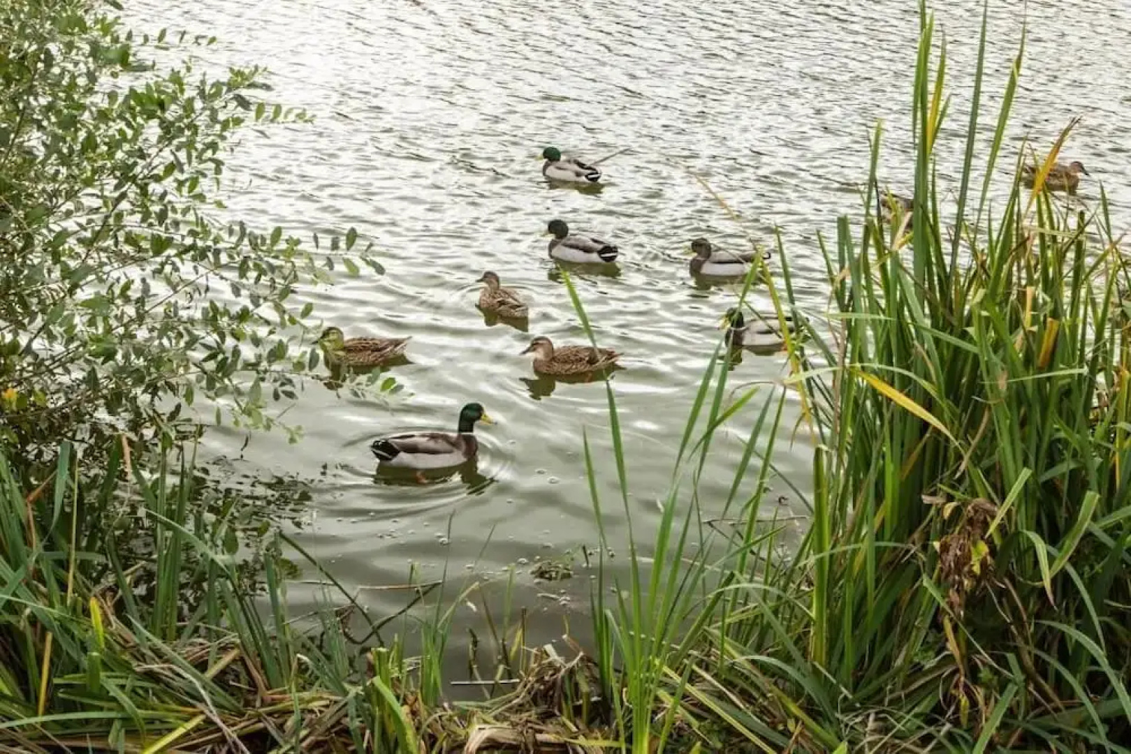 Rosedale Lakeside Lodge