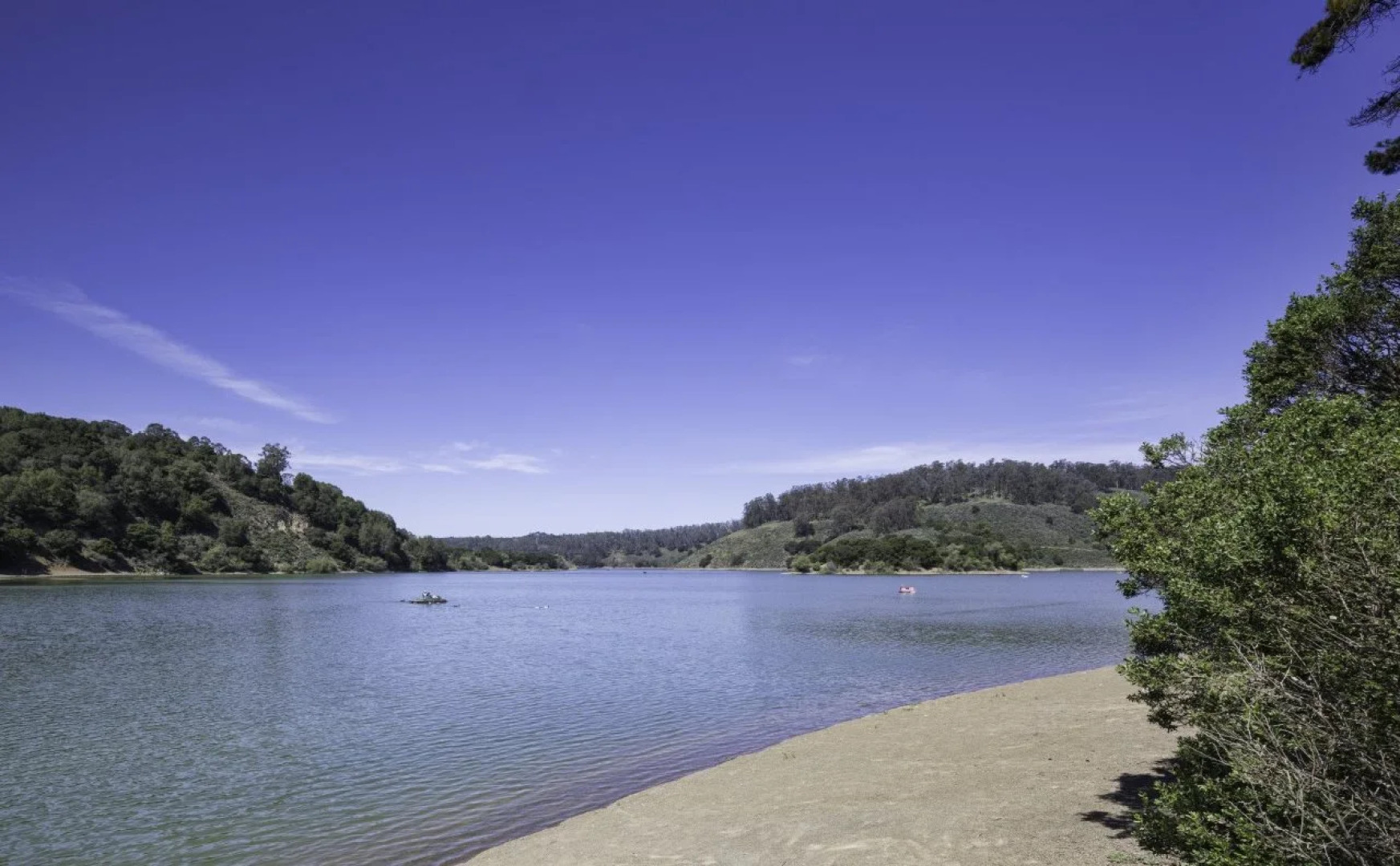 Holiday Inn Express Castro Valley - I-580 by IHG