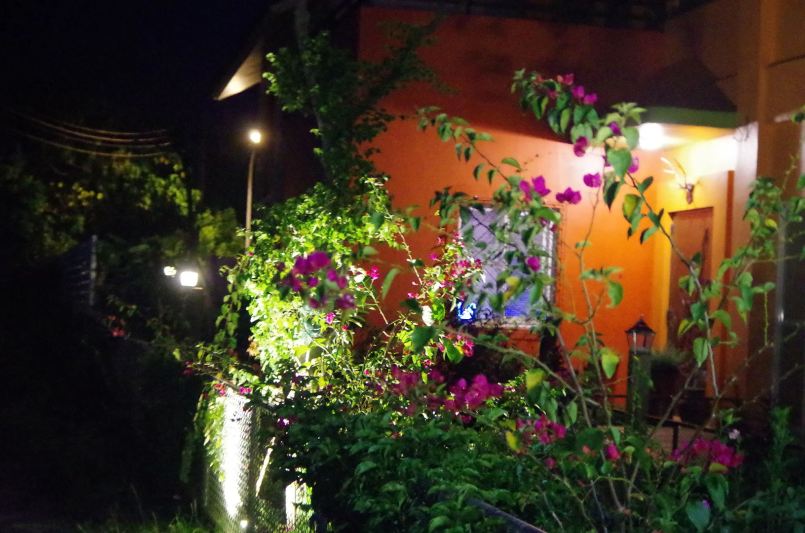 Longtian Hill B&B