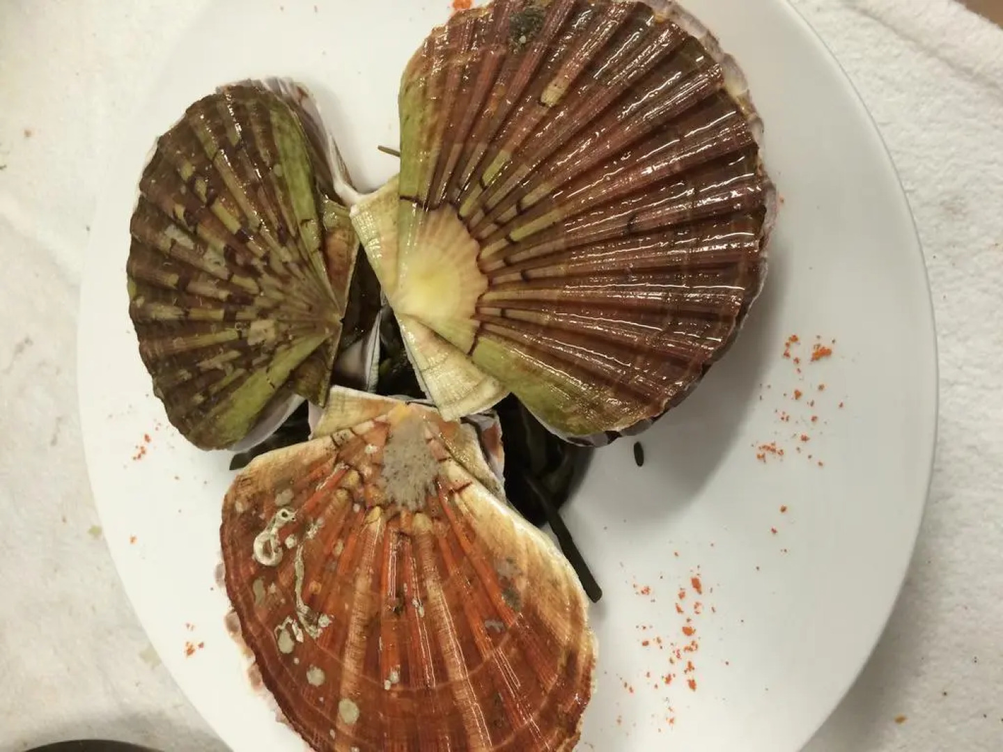 Hostellerie les Frenes