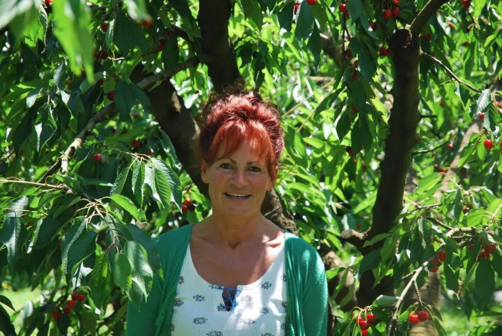 Agriturismo Terra E Sole