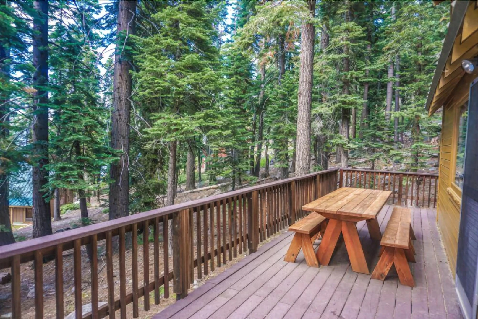 Rogers Cabin 4 Bedrooms 1.5 Bathroom Cabin