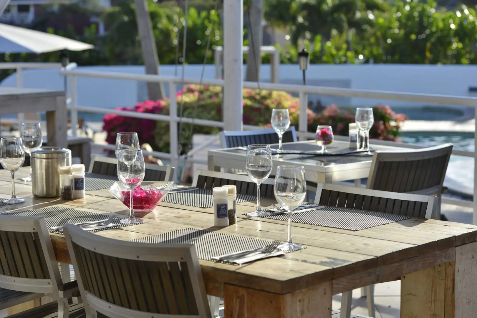 Chogogo Dive & Beach Resort Curacao