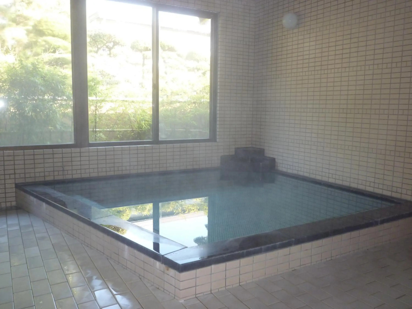 Yanagawa Hakuryu Soh