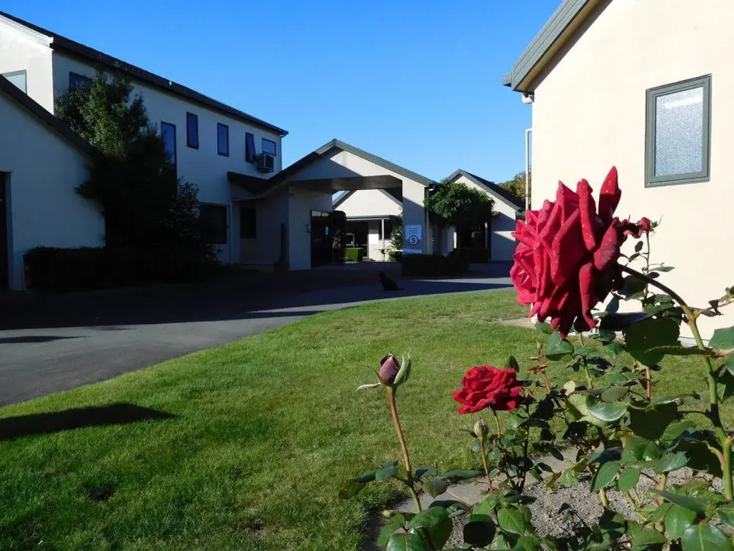 Brydan Accommodation Blenheim