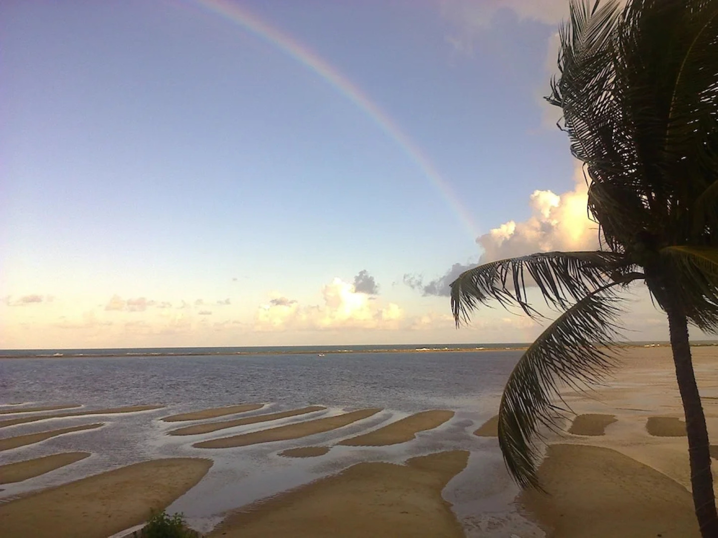 Hotel Pousada Mangrovia