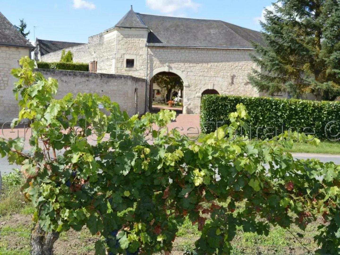 Gîte Ligré, 3 pièces, 4 personnes - FR-1-381-152