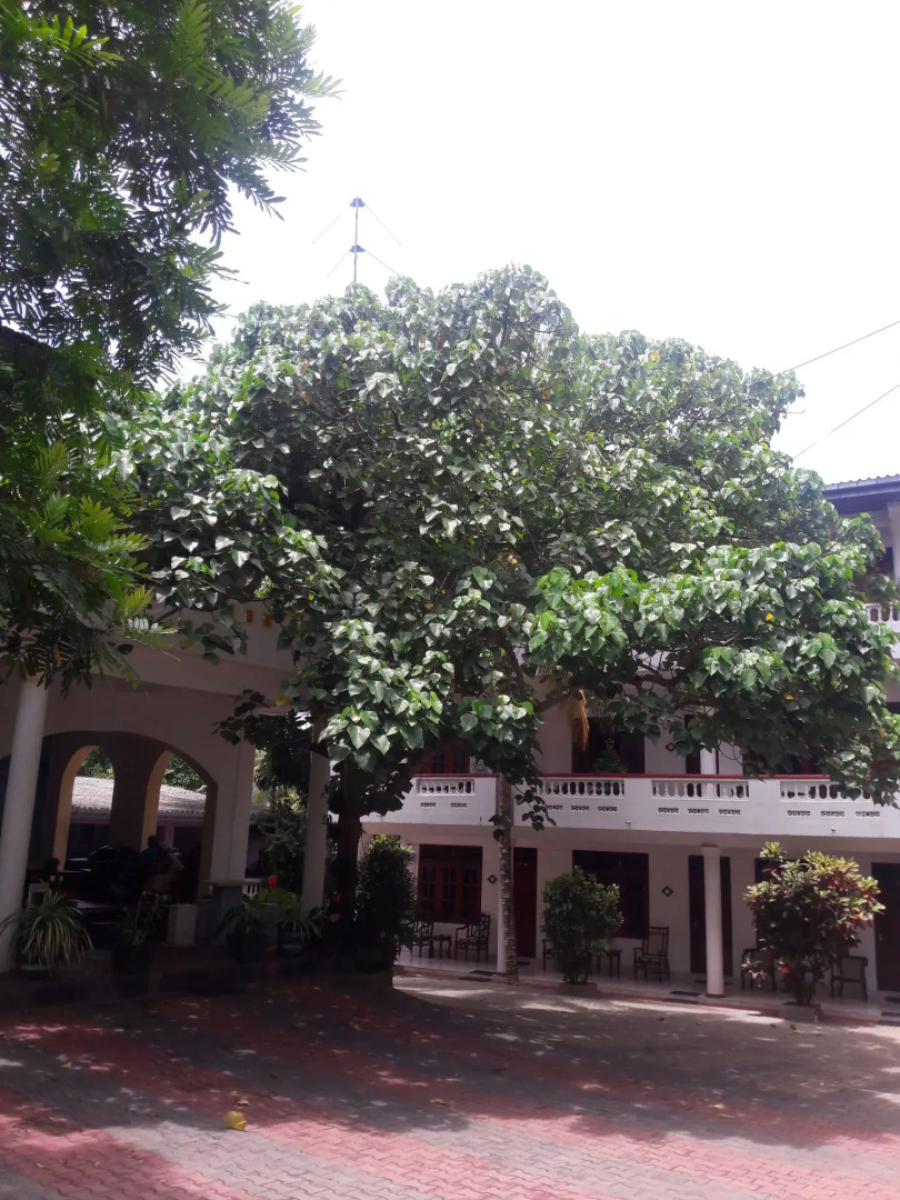 Happy Night Holiday Inn