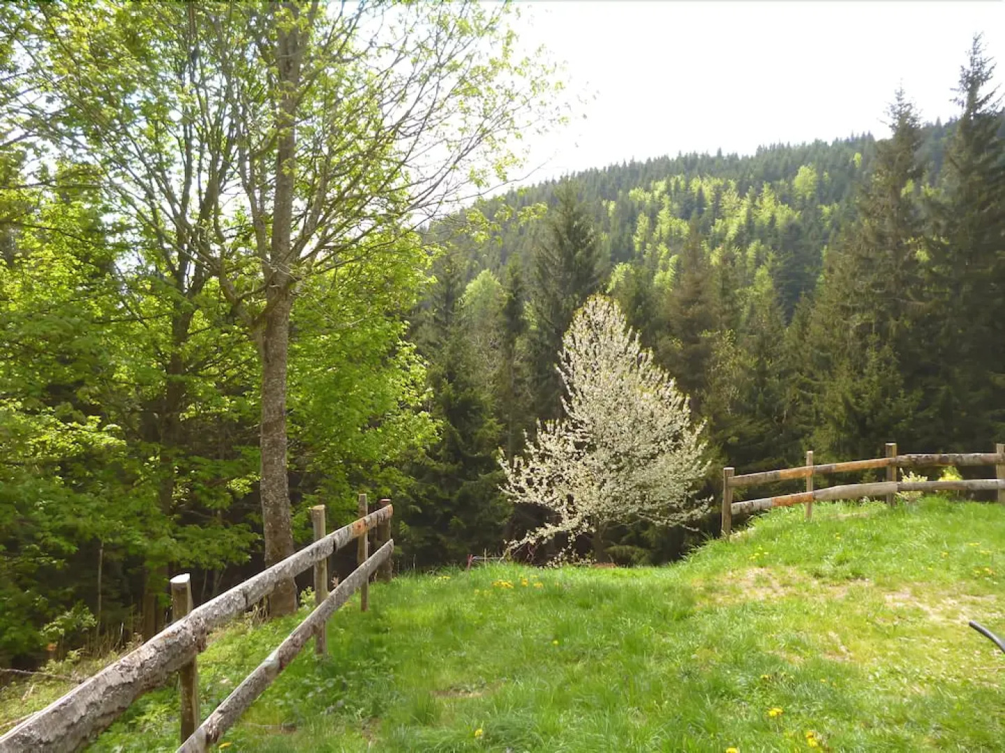 Le Perce Neige Les bruyères de Gaschon