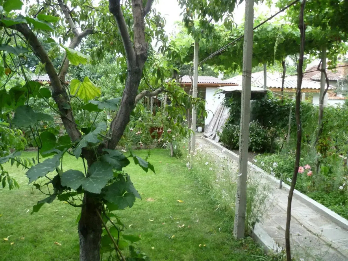 Stai Za Gosti Venera