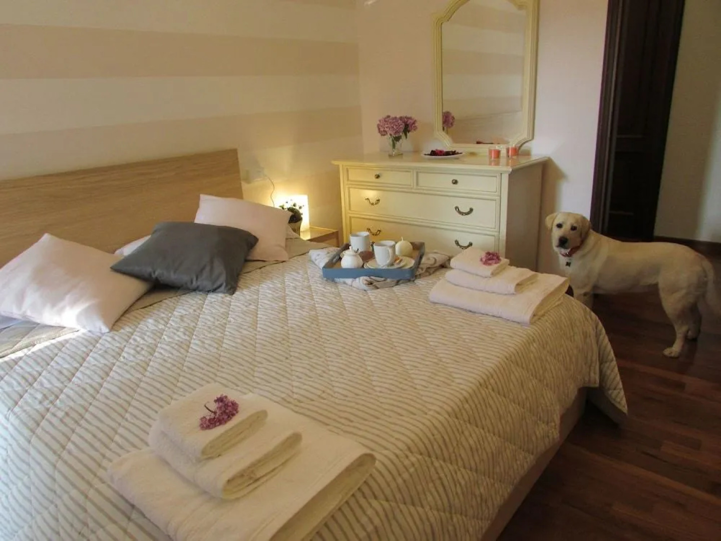 B&B Villa delle Ortensie