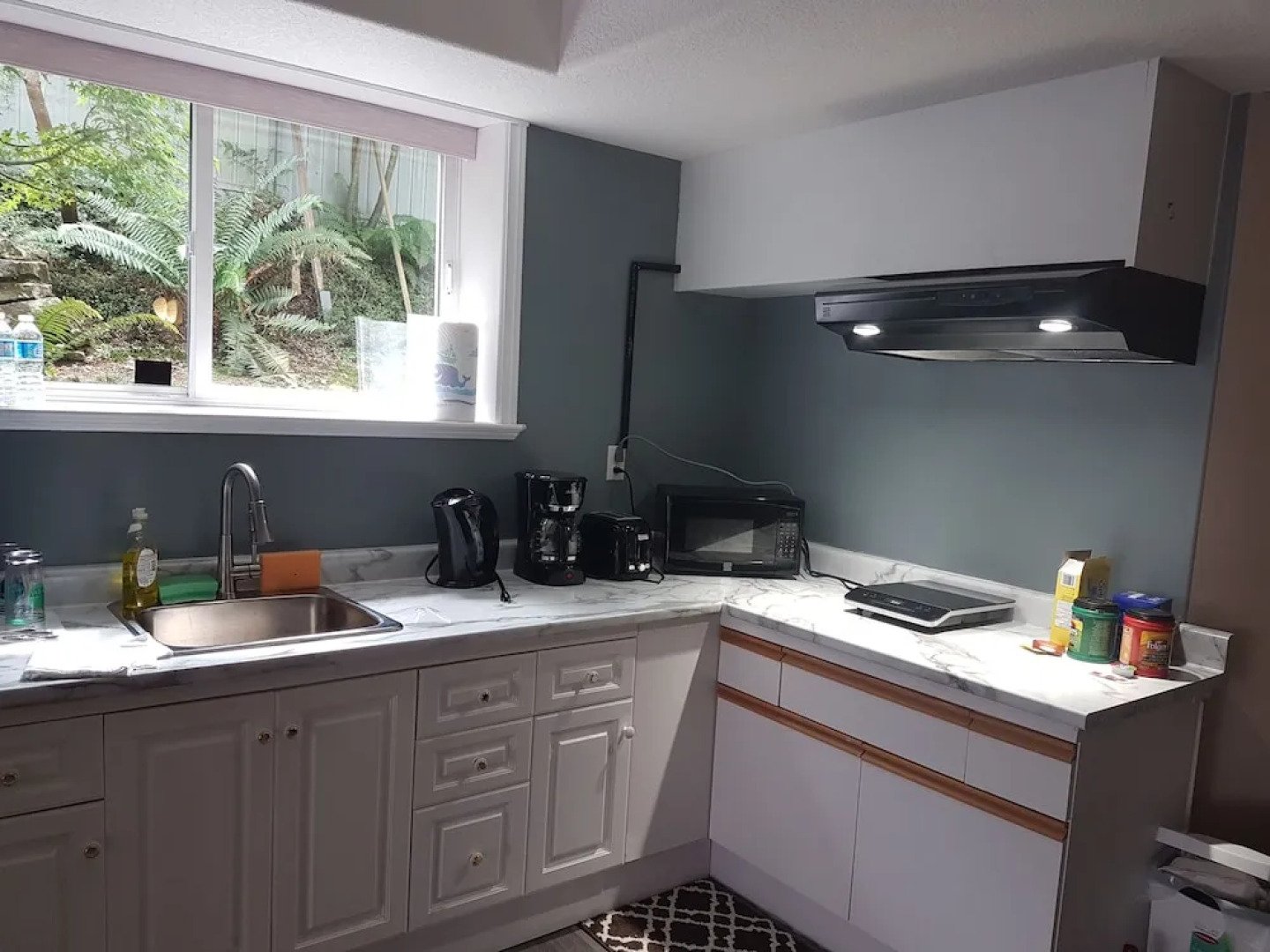 Forest Ocean View place