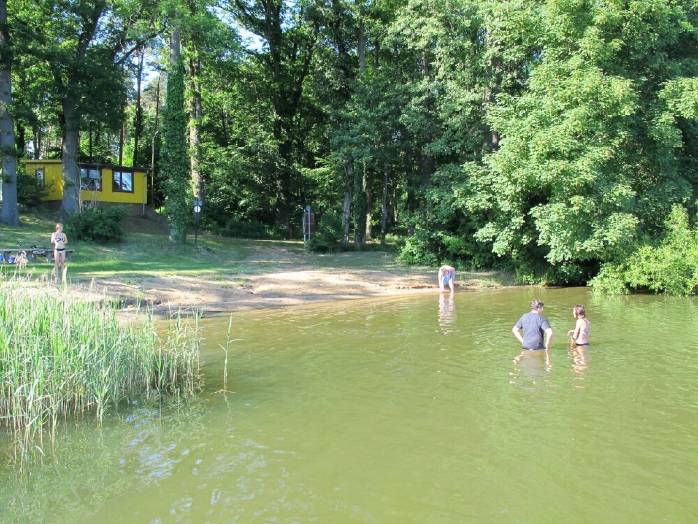 Am Walde Dobbertin in Dobbertin