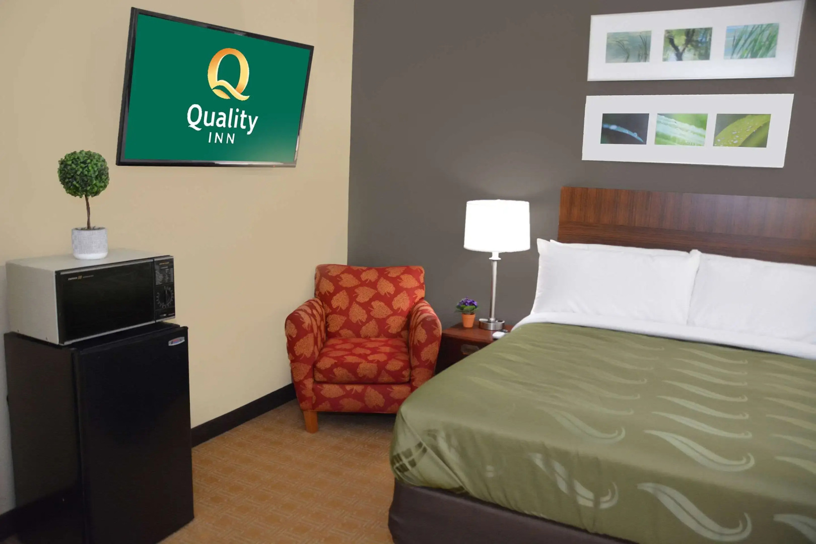 Quality Inn And Suites Dublin