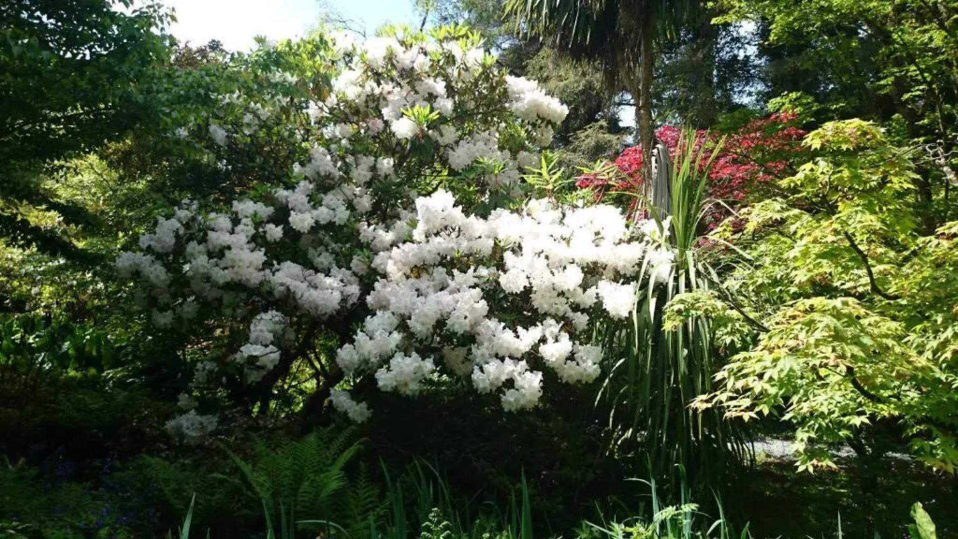 Kilmokea Garden Suite