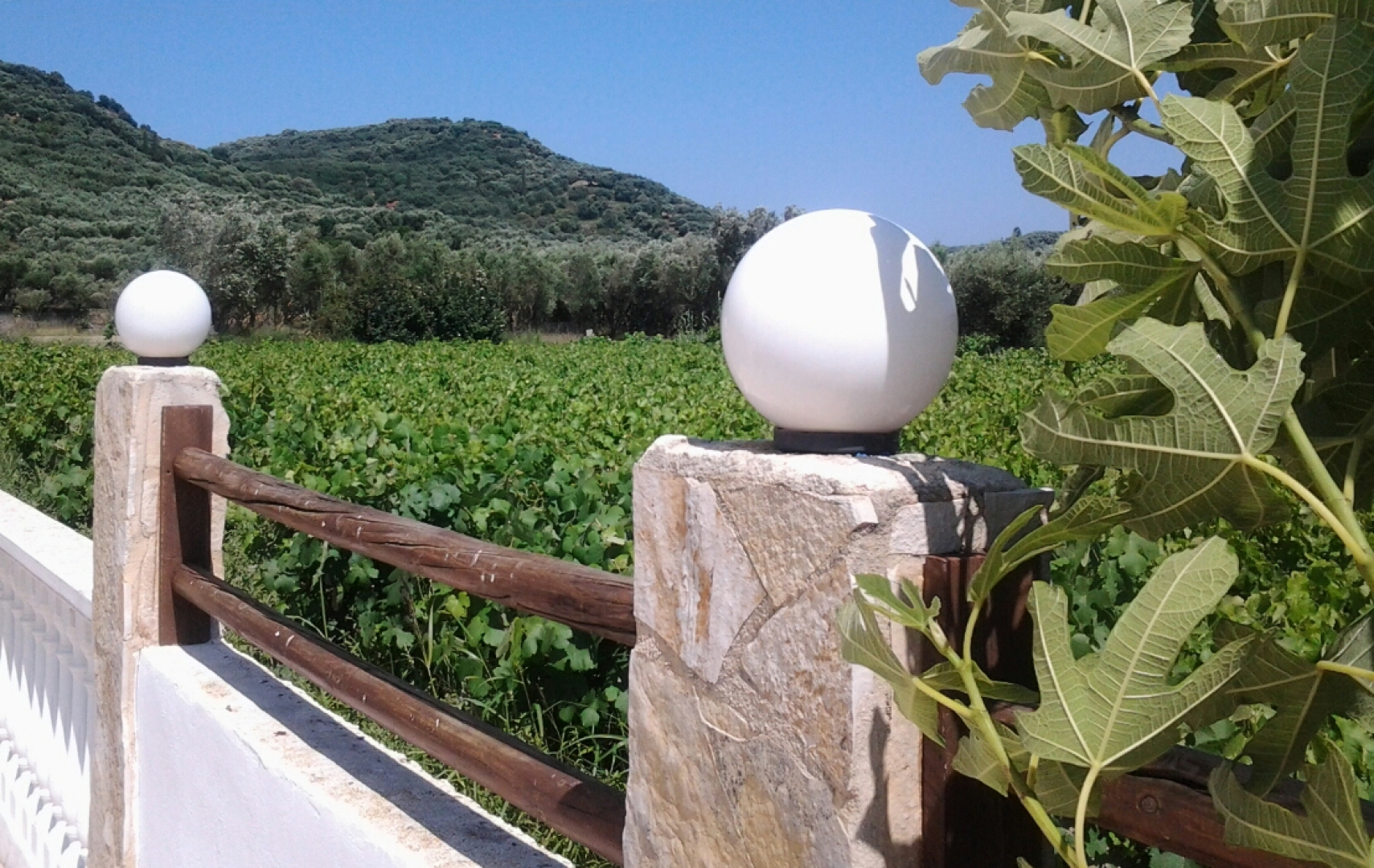 Zante Garden Apartments