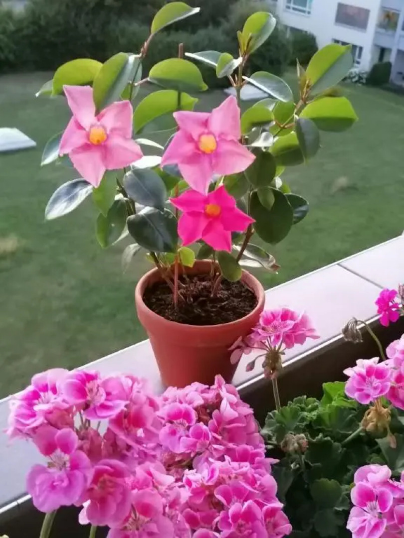 Zimmervermietung Bern