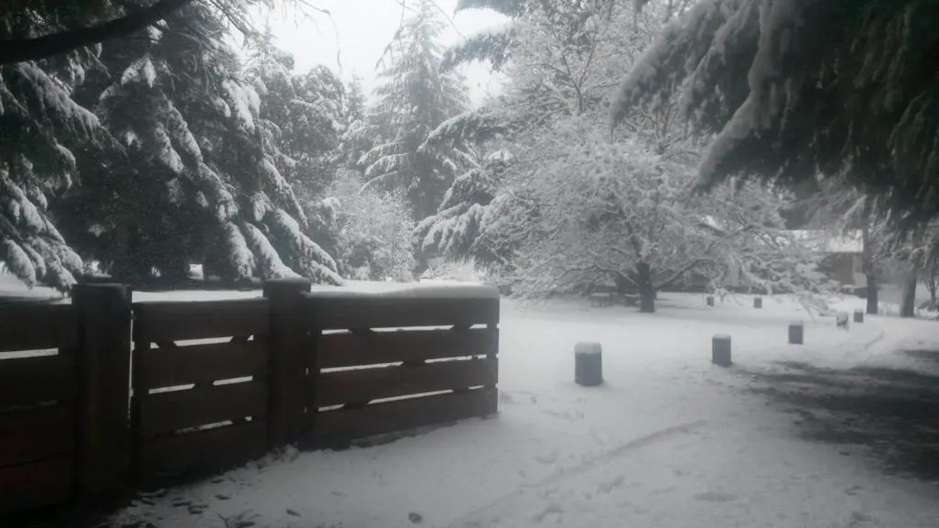 Cabaña La Cumeleña