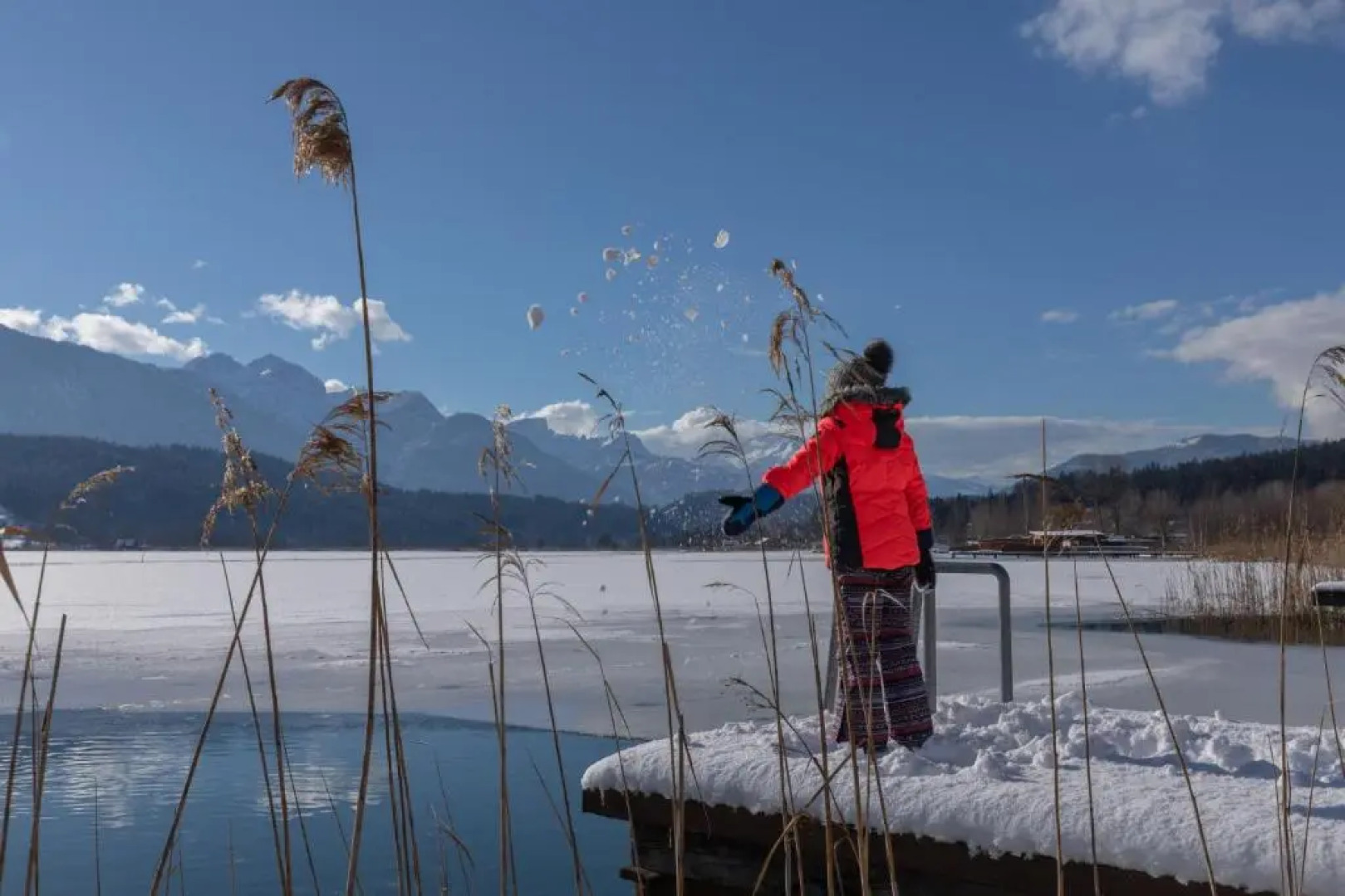 Lake Resort Pressegger See