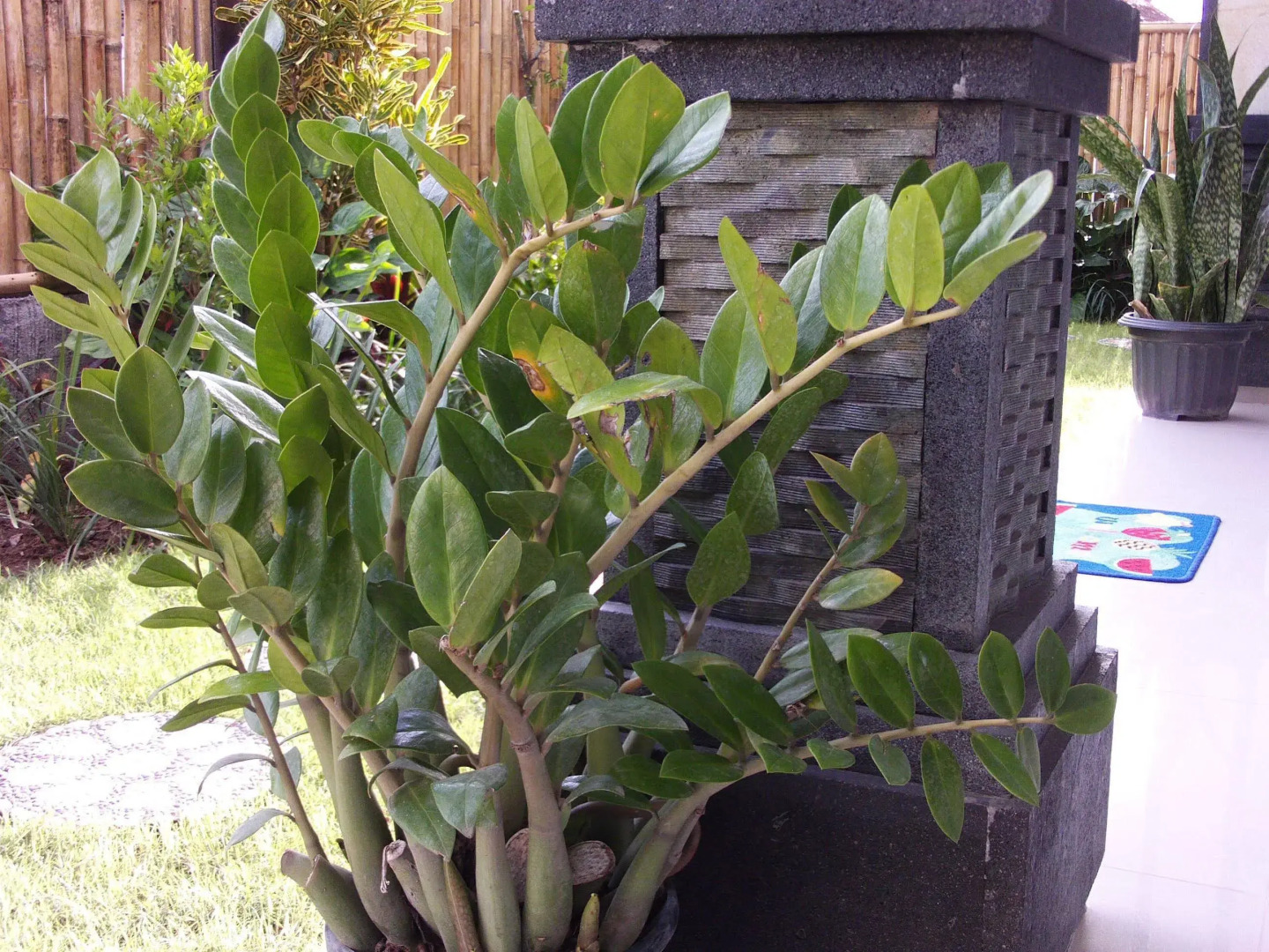 Гостевой дом The Wina Echo Beach