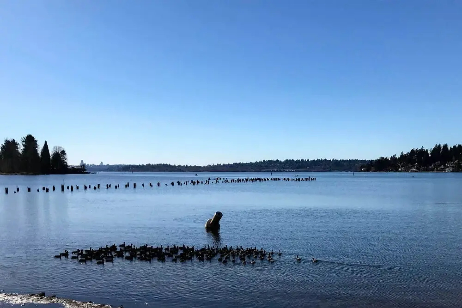 2 Mi to St Edward State Park: Ground-level Studio