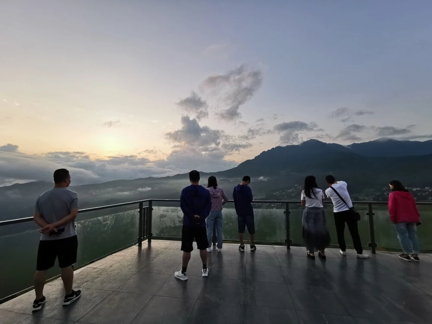 Plants and Flowers.YSTS