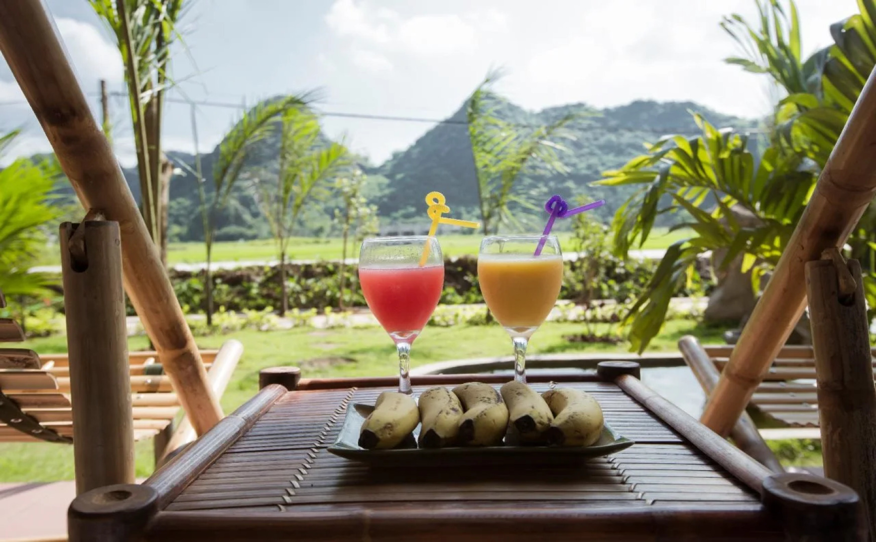 Tam Coc Rice Fields Resort