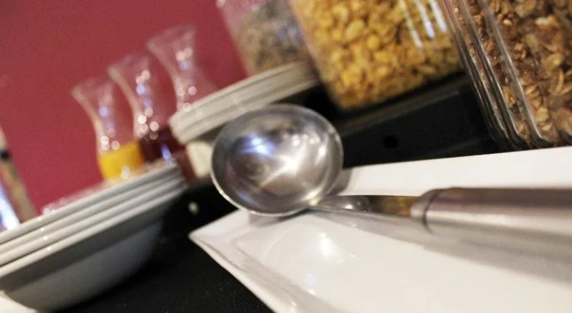 LIONSROCK Big Cat Sanctuary