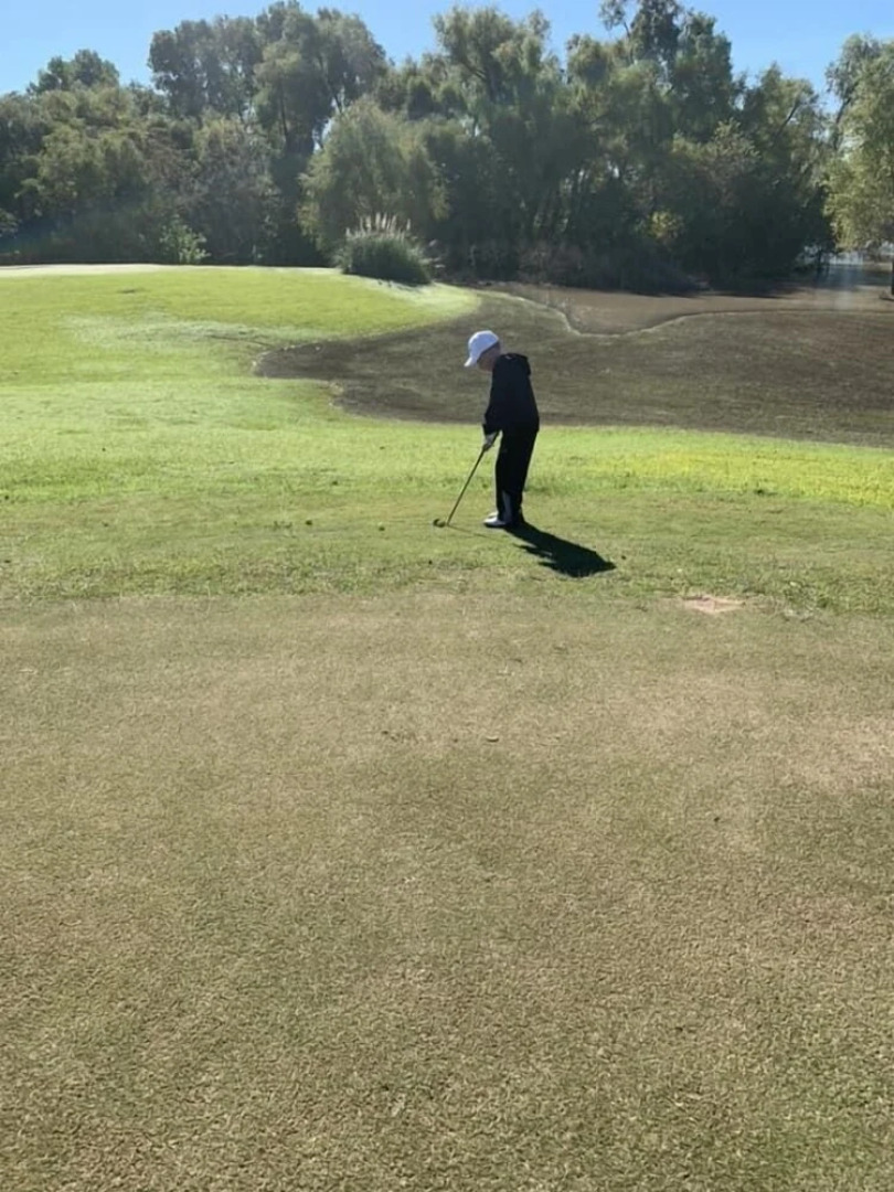 Beautiful Scenery, Towering Pines, Rolling Hills, and the Colorado River