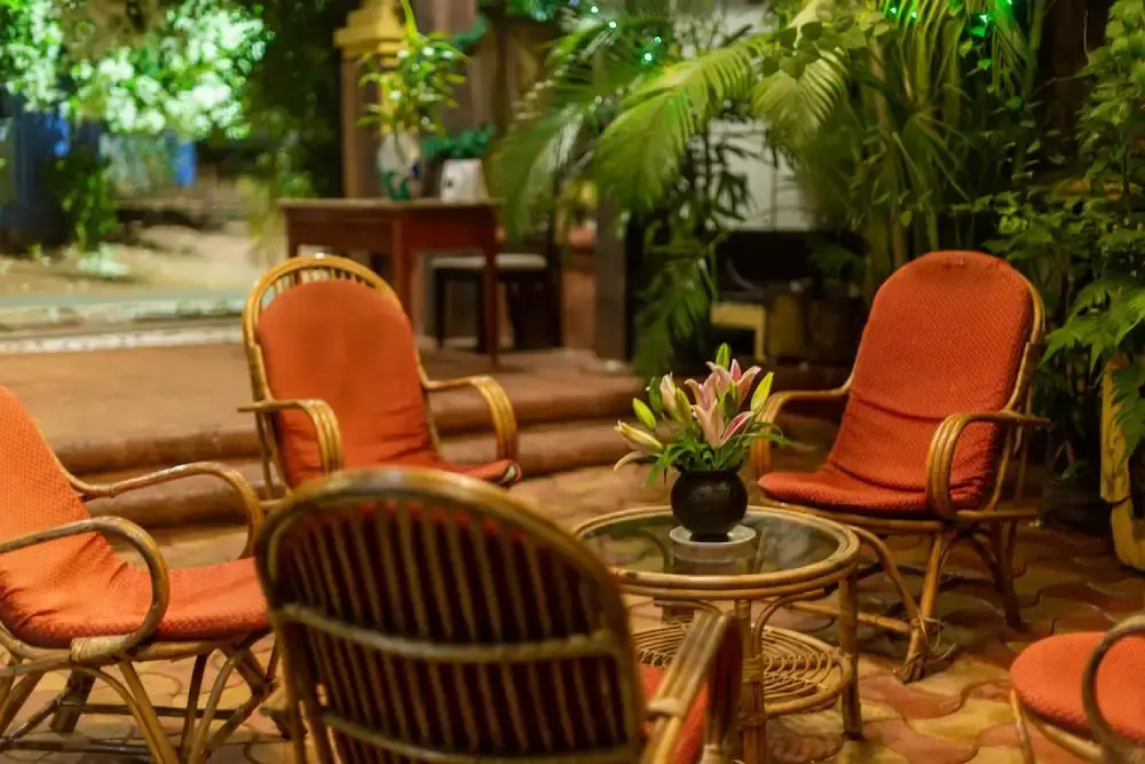 Bougainvillea Guest House