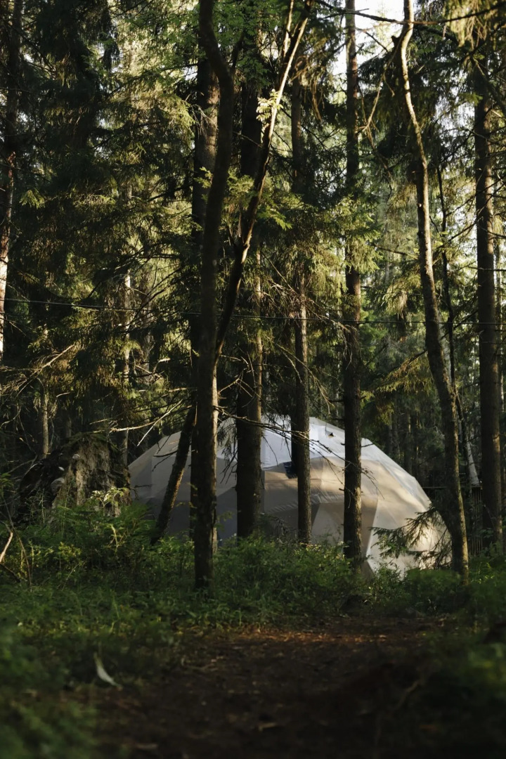 Вили Улей Карелия